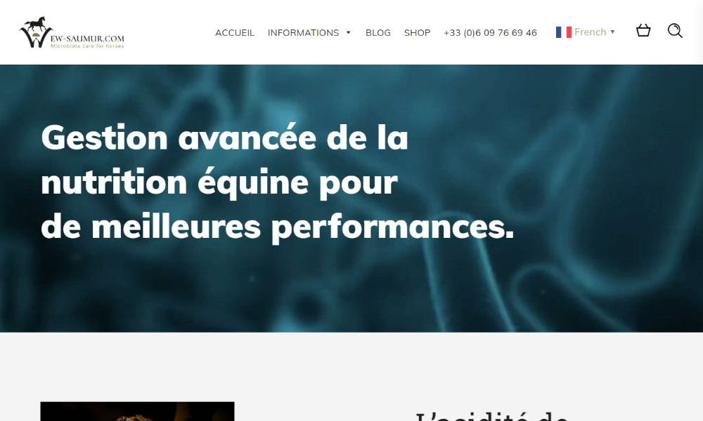 intégration d'une page web